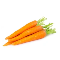 গাজর (Gajor – Carrot)