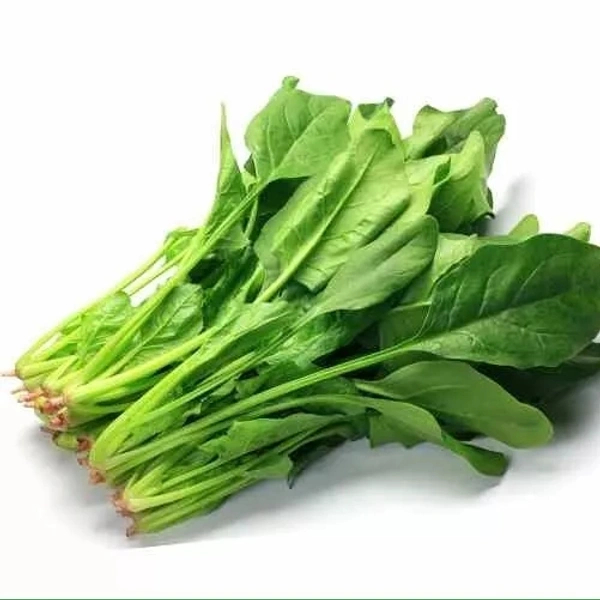 পালং শাক (Palong Shaak – Spinach)
