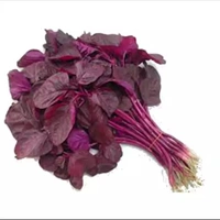 লাল শাক (Lal Shaak – Red Amaranth)
