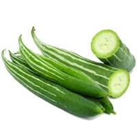 চিচিঙ্গা (Chichinga – Snake Gourd)