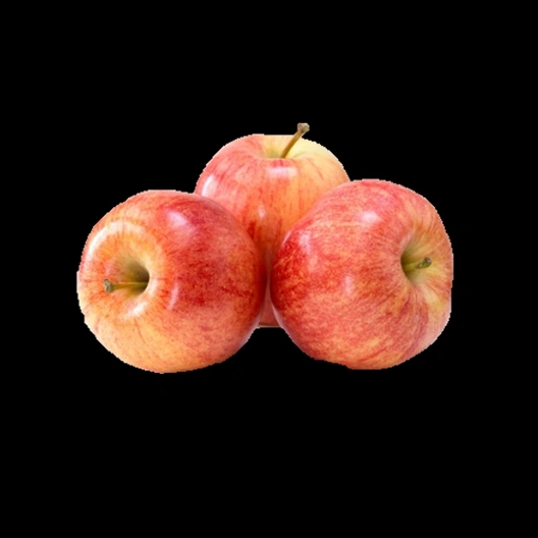 আপেল (Apel – Apple)
