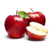আপেল (Apel – Apple)
