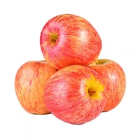 আপেল (Apel – Apple)
