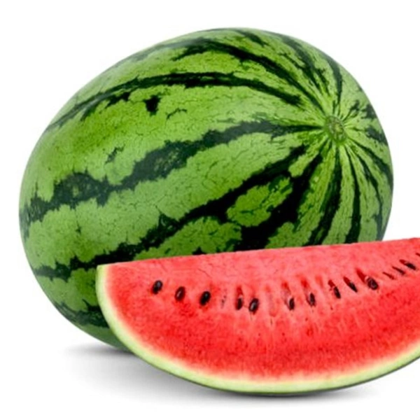 তরমুজ (Tormuj – Watermelon)