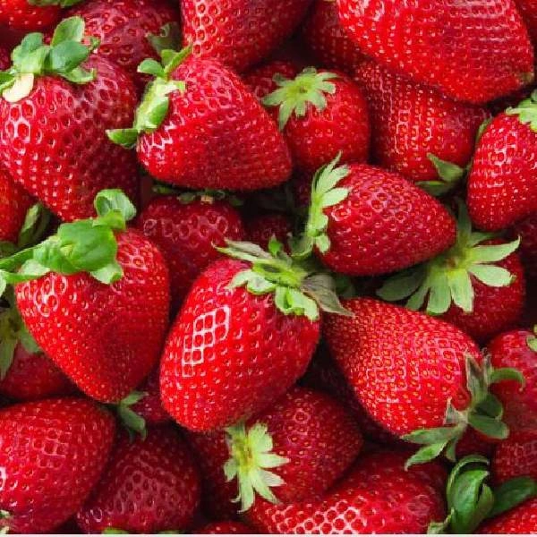 স্ট্রবেরি (Strawberry)