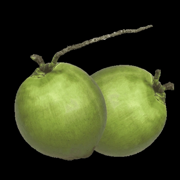 ডাব (Dab – Green Coconut)
