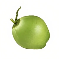 ডাব (Dab – Green Coconut)
