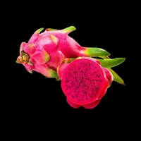ড্রাগন ফল (Dragon Phol – Dragon Fruit)