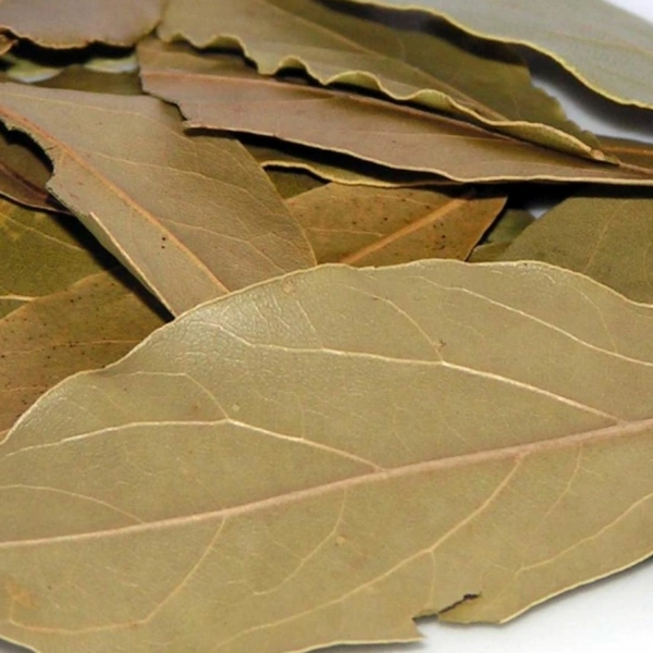 Biryani Leaf
