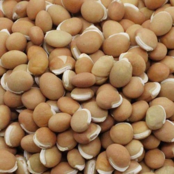 Red Mocha - 1kg
