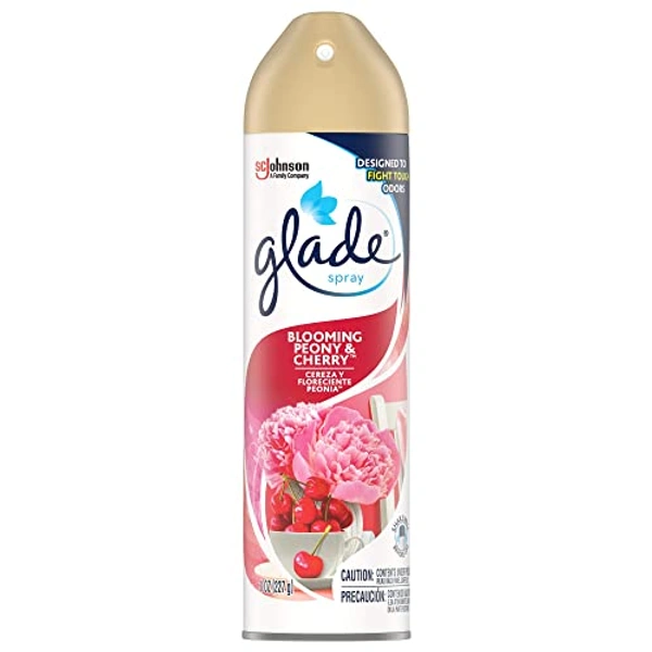 Premium Air Fragrance Blooming Rose - 217ml