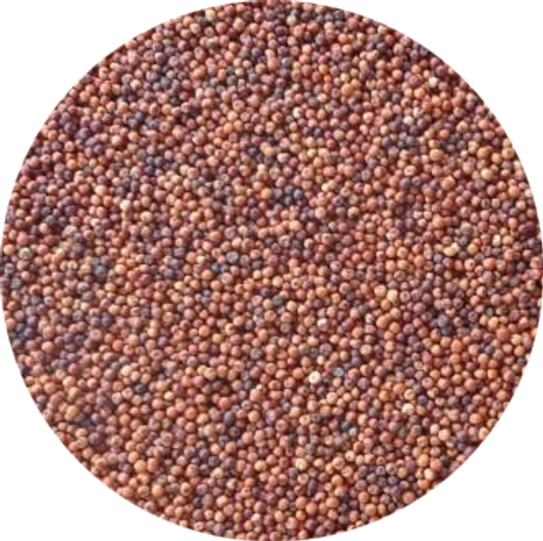 Ragi - 1kg