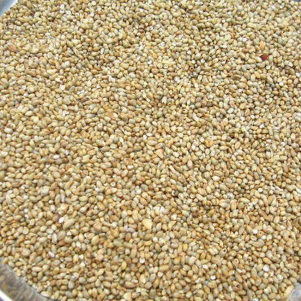 udacha kambu - 1kg