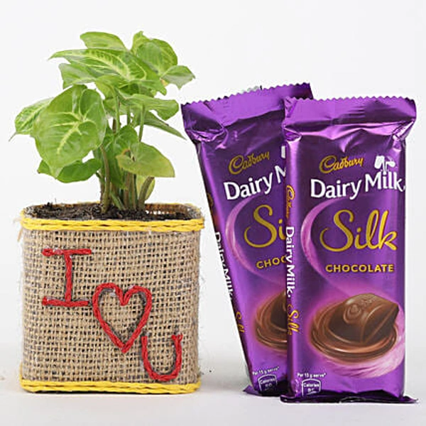 Dairy Milk - 50