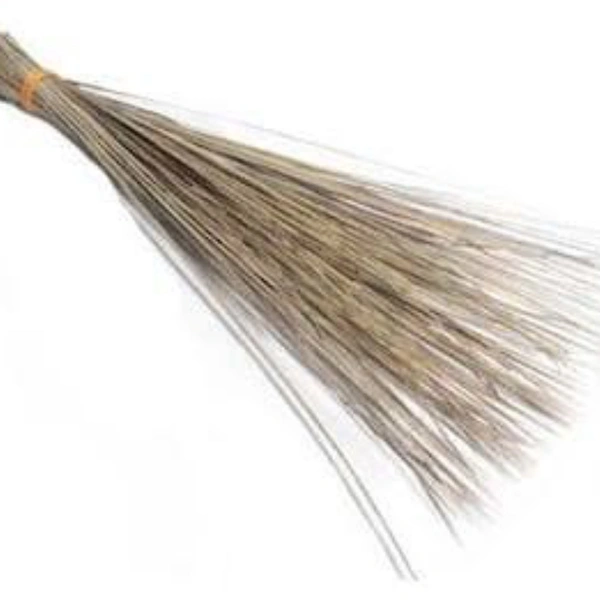Stick Broom