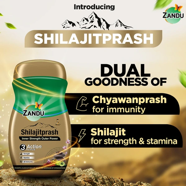 Zandu Shilajitprash - 900 gm
