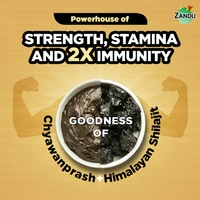Zandu Shilajitprash - 900 gm