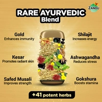Zandu Shilajitprash - 900 gm