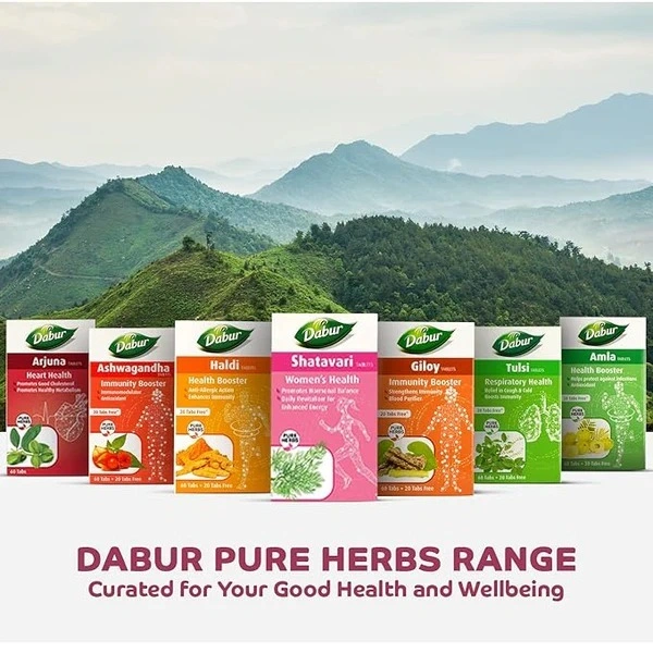 Dabur Shatavari Tablets - 60 Tabs - 60 Tabs