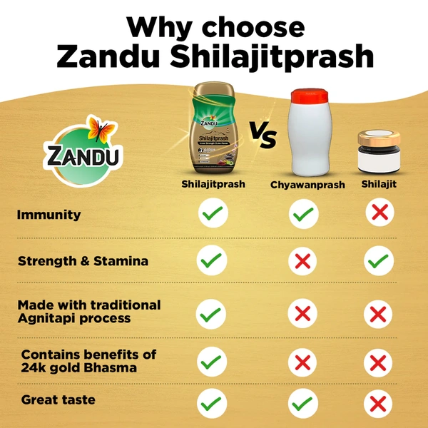 Zandu Shilajitprash - 900 gm