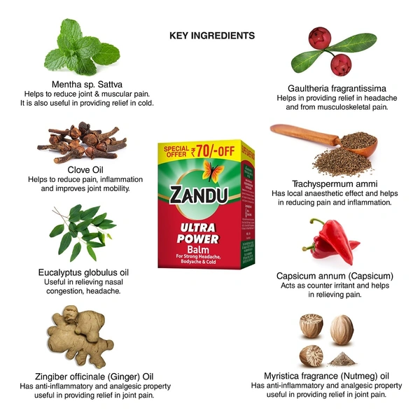 Zandu Ultra Power Balm | For Pain Relief from Strong Headache, Bodyaches & Cold | Bone, Joint & Muscle Care | 50 ML - 50ml