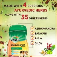 Zandu ZANDU CHYAVANAPRASH Avaleha for Increasing Immunity and Stamina, - 900g