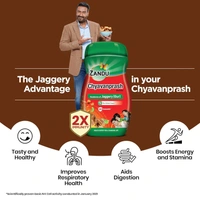 Zandu ZANDU CHYAVANAPRASH Avaleha Jaggery (Gur), Ayurvedic Immunity Booster, Provides Vitamins & Micro-Nutrients, Helps Improve Respiratory Health, 450g - 450g