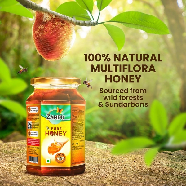 Zandu Pure Honey, 100% Purity, No Added Sugar,  - 500g