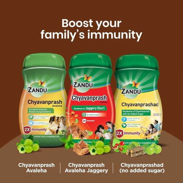 Zandu ZANDU CHYAVANAPRASH Avaleha Jaggery (Gur), Ayurvedic Immunity Booster, Provides Vitamins & Micro-Nutrients, Helps Improve Respiratory Health, 450g - 450g