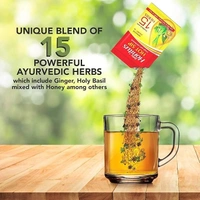 Dabur Honitus Hot Sip: 100% Ayurvedic Kadha | Provides Instant Relief from Cough and Cold (4gm*Pack of 30 Sachets) - Pack of 30