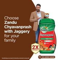 Zandu ZANDU CHYAVANAPRASH Avaleha Jaggery (Gur), Ayurvedic Immunity Booster, Provides Vitamins & Micro-Nutrients, Helps Improve Respiratory Health, 450g - 450g