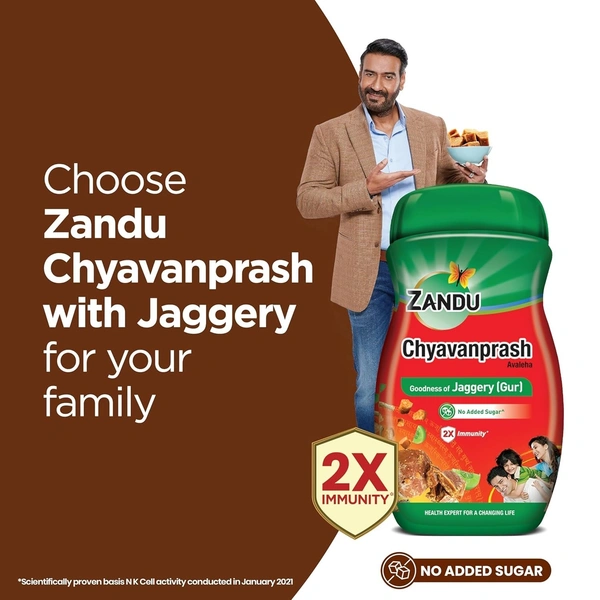 Zandu ZANDU CHYAVANAPRASH Avaleha Jaggery (Gur), Ayurvedic Immunity Booster, Provides Vitamins & Micro-Nutrients, Helps Improve Respiratory Health, 450g - 450g