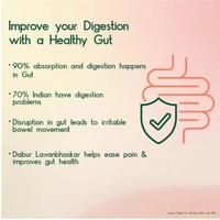 Dabur Lavanbhaskar Churna - 500g