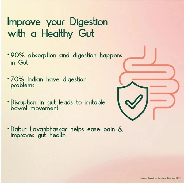 Dabur Lavanbhaskar Churna - 500g