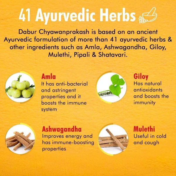 Dabur Chyawanprakash Sugarfree | Clinically Tested Safe for Diabetics | Boosts Immunity - 500 gm