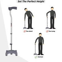 Avanti L Shape Quadripod Stick | Walking Stick with Adjustable Height | Light Weight | 4 Legged Base (Grey)