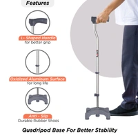 Avanti L Shape Quadripod Stick | Walking Stick with Adjustable Height | Light Weight | 4 Legged Base (Grey)