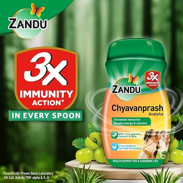 Zandu Chyawanprash Avaleha 910 g | Scientifically proven immunity booster | Boosts energy, stamina and memory | Powerful Ingredients to protect from common infections and illness | Great Taste - 900gm