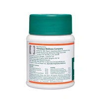 Himalaya Liv.52 DS Tablets 60 - 60 Tablet