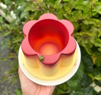 Pudding Pen/Make-up Brush Holder