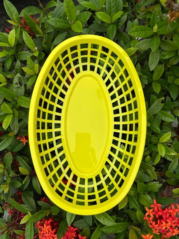 Aesthetic Oval Baskets (Swipe For Color Options) - White