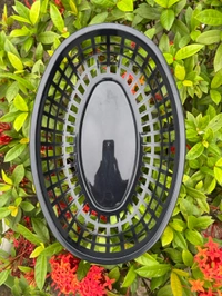 Aesthetic Oval Baskets (Swipe For Color Options) - White