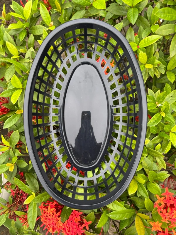 Aesthetic Oval Baskets (Swipe For Color Options) - White