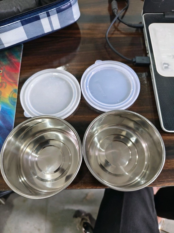 Lunch Box 2pcs Stainless Steel Bowl & Pouch with Food Grade PU Insulated, BPA Free Executive Tiffin for Office (2 x 260ml, Medium, Blue)
