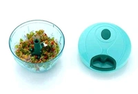 Handy Dori Plastic Vegetable & Fruit Chopper - 350 Ml,Multicolor