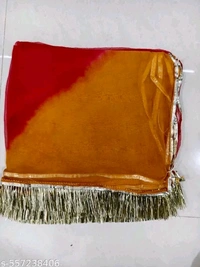 rajputi poshak rajasthani poshak rajputi dress Lehenga choli
