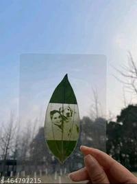 Pati Photo 