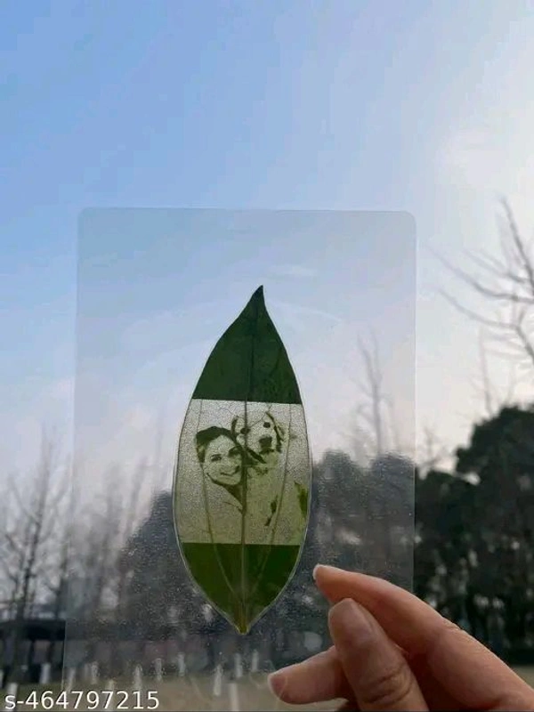 Pati Photo 