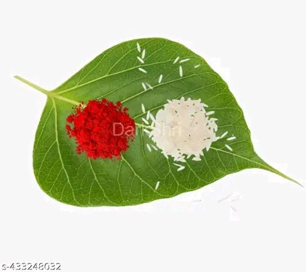 Elite Beautiful Rakhi