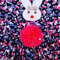 Fancy Fabulous Frock Dresses - 9-12